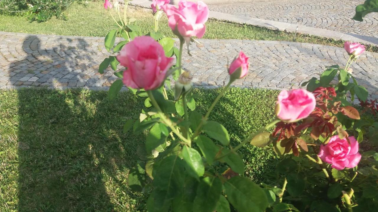 B&B La Valletta Serravalle Scrivia Dış mekan fotoğraf